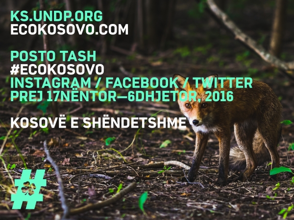 #ecokosovo